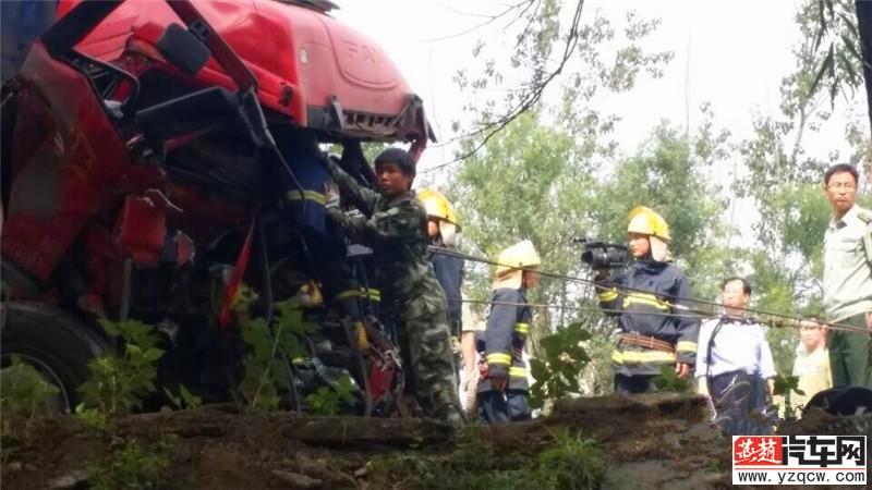 魏州网车祸事件深度报道最新消息